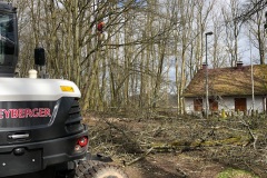 baumfaellungen_2009_web_1
