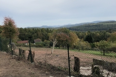 galabau-freyberger_baumfaellungen_11