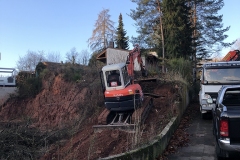 galabau-freyberger_baumfaellungen_13