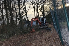 galabau-freyberger_baumfaellungen_17