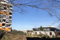 galabau-freyberger_baumfaellungen_25